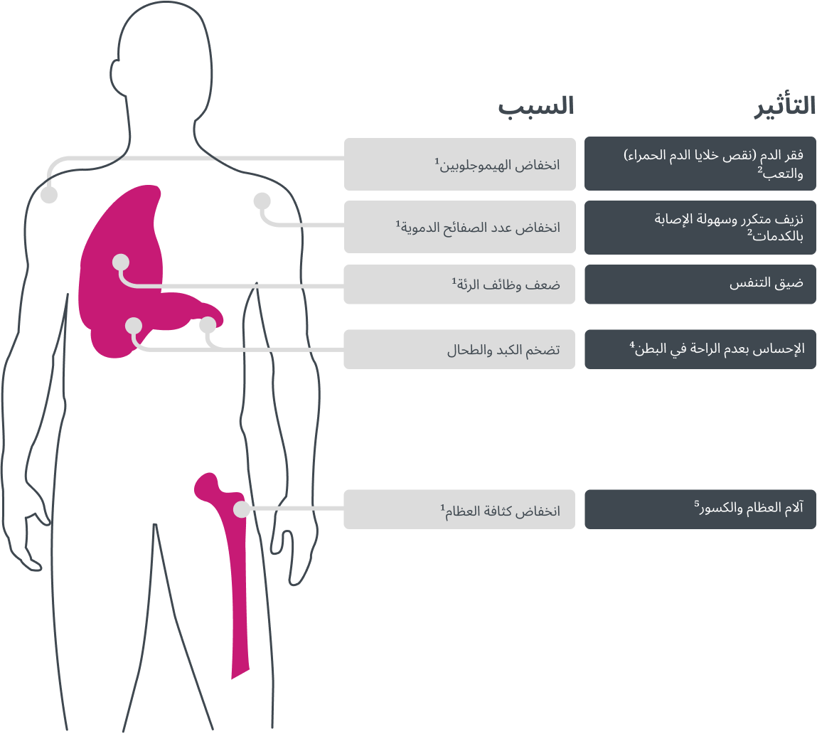 المخطط المعلوماتي لأعراض مرض غوشيه